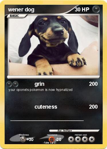 Pokemon wener dog