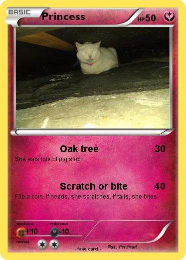 Pokemon Princess