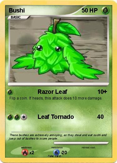 Pokemon Bushi