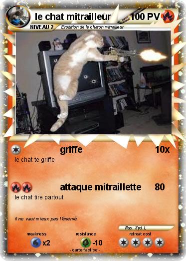 Pokemon le chat mitrailleur