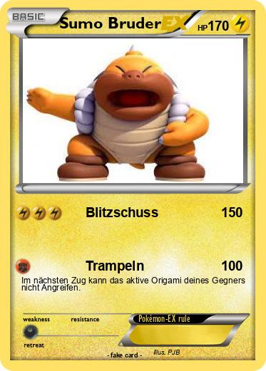 Pokemon Sumo Bruder