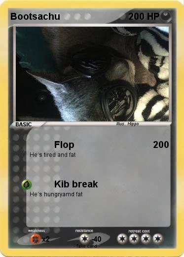 Pokemon Bootsachu