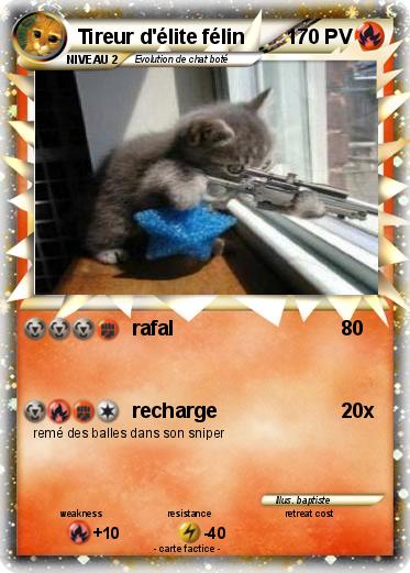 Pokemon Tireur d'élite félin