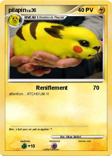 Pokemon pilapin