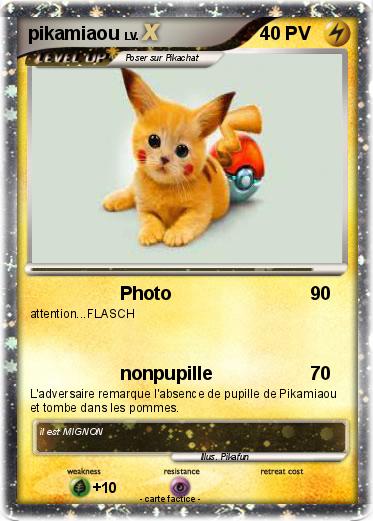 Pokemon pikamiaou