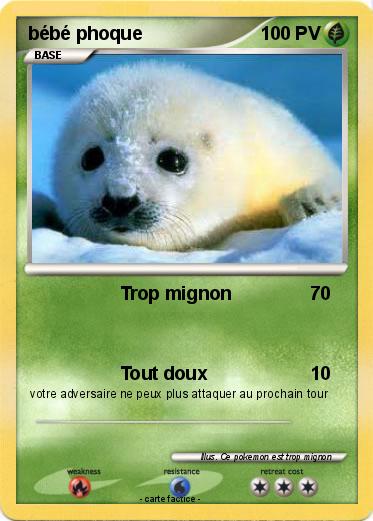 Pokemon bébé phoque