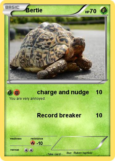 Pokemon Bertie