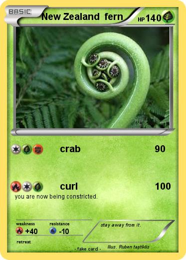 Pokemon New Zealand  fern