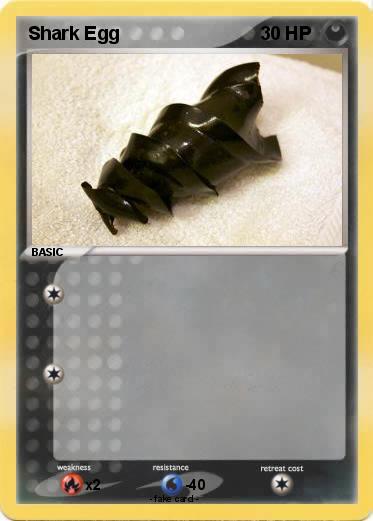 Pokemon Shark Egg