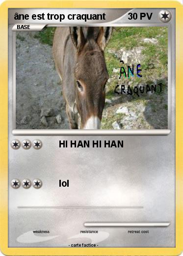 Pokemon âne est trop craquant