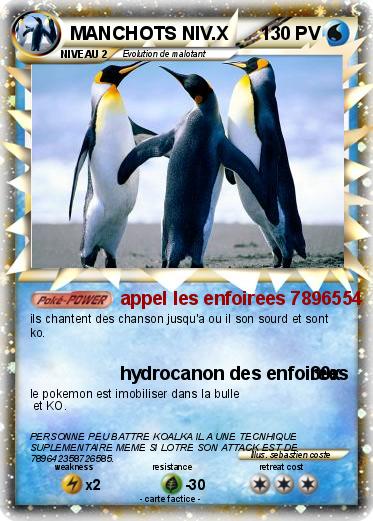 Pokemon MANCHOTS NIV.X