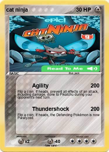 Pokemon cat ninja