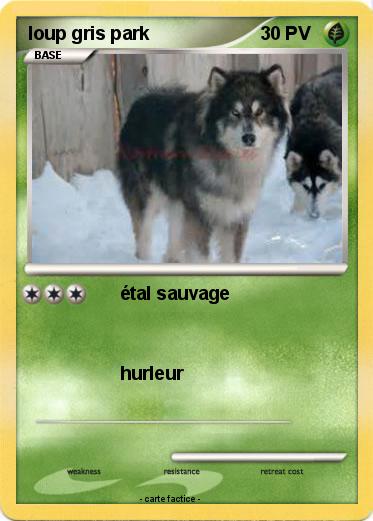 Pokemon loup gris park