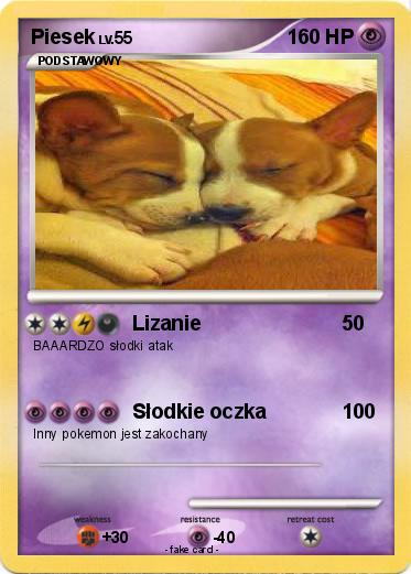 Pokemon Piesek