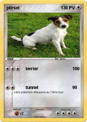 Pokemon ptirsel
