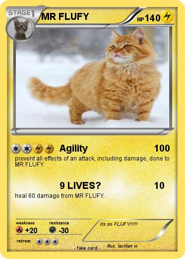 Pokemon MR FLUFY