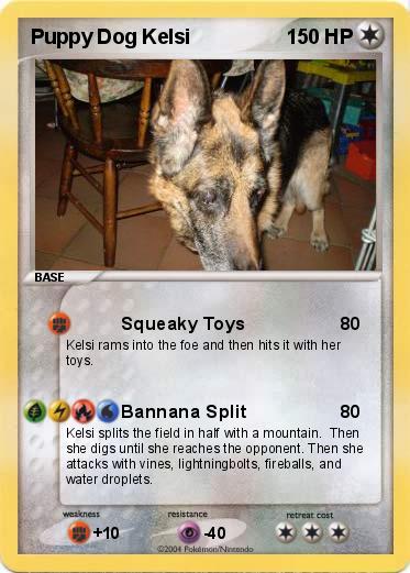Pokemon Puppy Dog Kelsi
