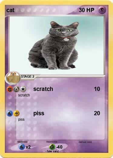 Pokemon cat