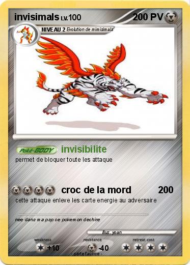 Pokemon invisimals