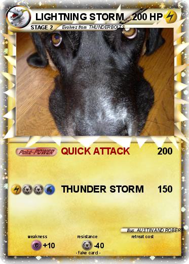 Pokemon LIGHTNING STORM