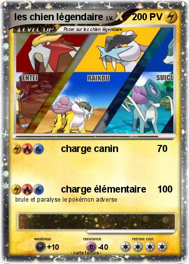 Pokemon les chien légendaire