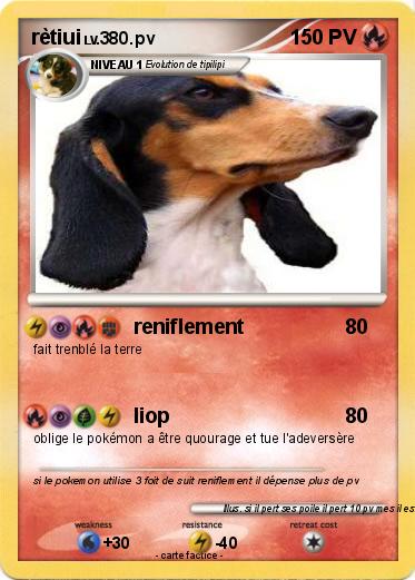 Pokemon rètiui