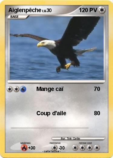 Pokemon Aiglenpêche