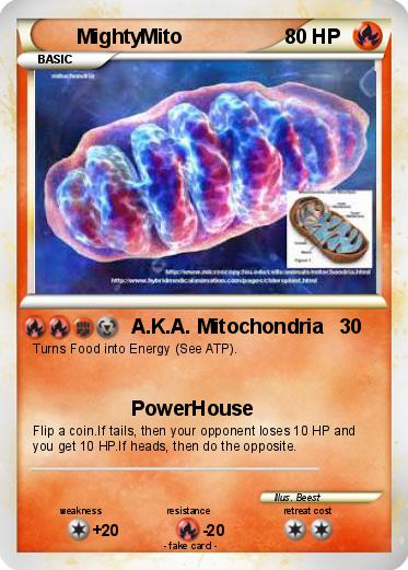 Pokemon MightyMito