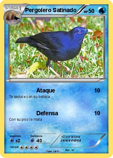 Pokemon Pergolero Satinado