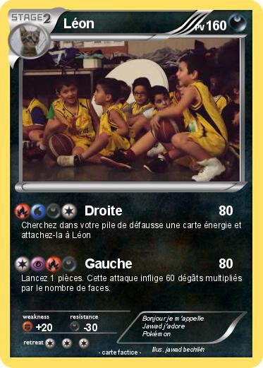Pokemon Léon