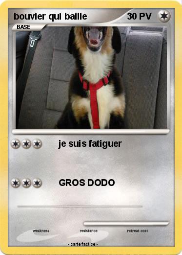 Pokemon bouvier qui baille