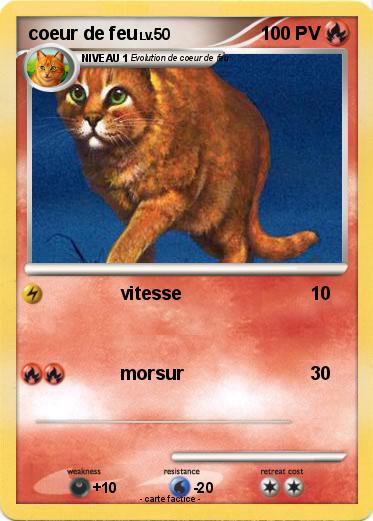 Pokemon coeur de feu