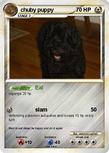 Pokemon chuby puppy