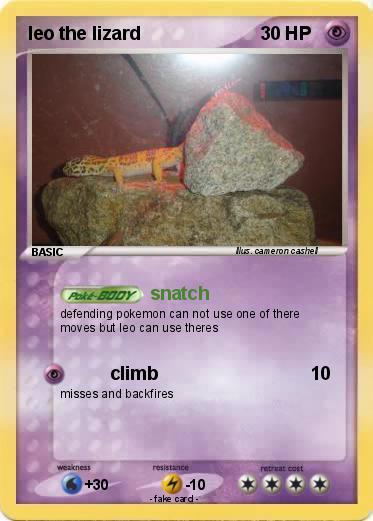 Pokemon leo the lizard