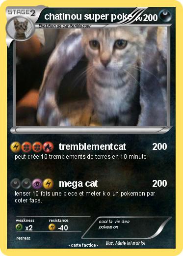 Pokemon chatinou super poke