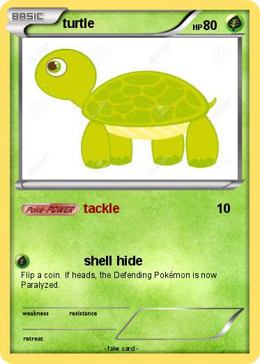 Pokemon turtle