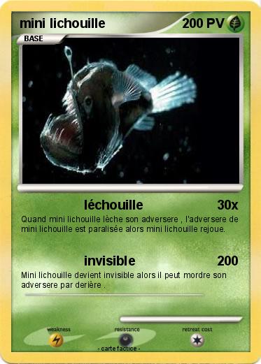 Pokemon mini lichouille