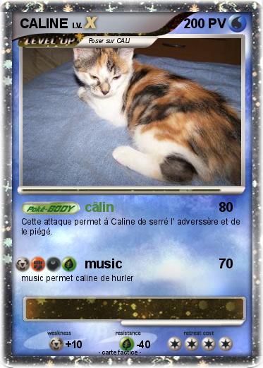 Pokemon CALINE