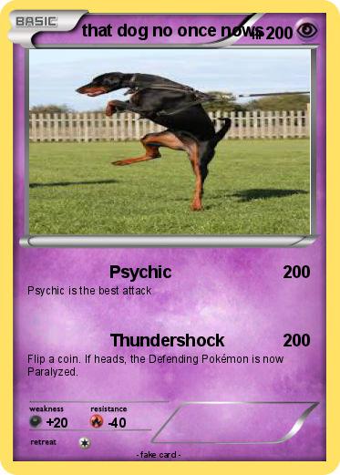 Pokemon that dog no once nows