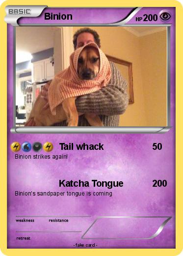 Pokemon Binion