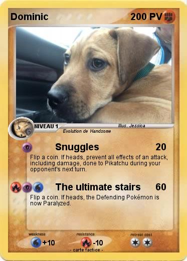 Pokemon Dominic