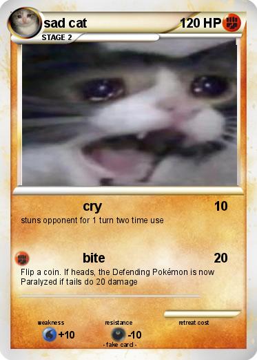Pokemon sad cat