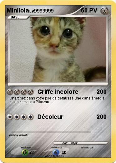 Pokemon Minilola