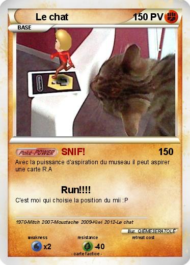 Pokemon Le chat
