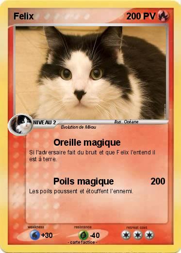 Pokemon Felix