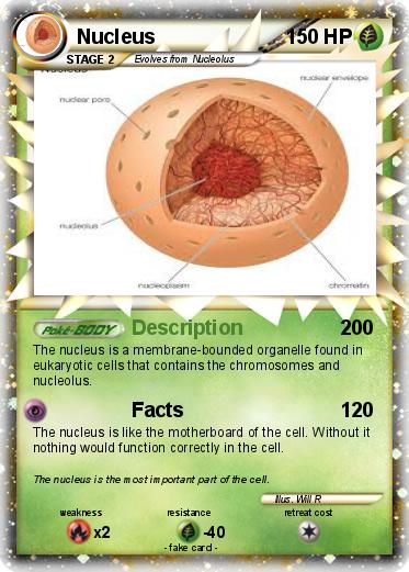 Pokemon Nucleus