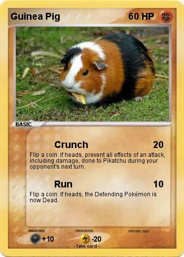 Pokemon Guinea Pig