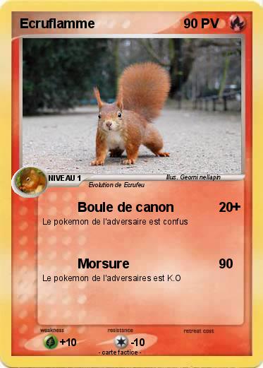 Pokemon Ecruflamme