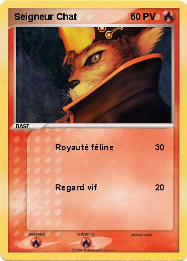 Pokemon Seigneur Chat