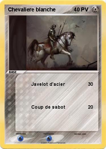 Pokemon Chevaliere blanche